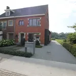 Rent 1 bedroom apartment in Turnhout