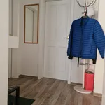 Rent 1 bedroom apartment of 50 m² in Nuremberg