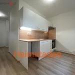 Pronajměte si 3 ložnic/e byt o rozloze 55 m² v Havířov