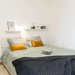 Rent 3 bedroom apartment of 90 m² in Roma