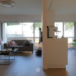 Rent 1 bedroom apartment in Gent