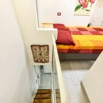 Rent 1 bedroom apartment in Milan