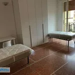 Rent 4 bedroom apartment of 80 m² in Bologna