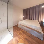 Rent 1 bedroom apartment of 50 m² in milano