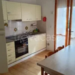 Rent 2 bedroom apartment of 50 m² in Cecina