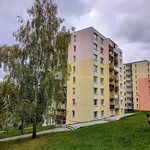 Rent 1 bedroom apartment in Vsetín