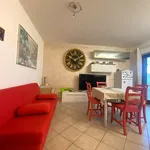 Rent 2 bedroom apartment of 55 m² in Velletri