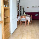 Rent 2 bedroom apartment of 50 m² in Pisa