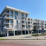 Rent 2 bedroom apartment of 107 m² in Willebroek