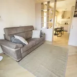 Rent 1 bedroom apartment of 50 m² in bologna