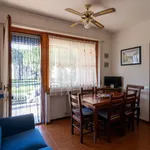 Rent 3 bedroom apartment of 60 m² in Follonica