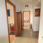 Rent 2 bedroom apartment of 60 m² in Napoli