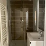 Rent 1 bedroom house of 35 m² in Rodez