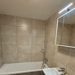 Pronajměte si 2 ložnic/e byt o rozloze 58 m² v Pilsen