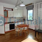 Rent 2 bedroom apartment of 45 m² in La Spezia