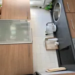 Rent 1 bedroom apartment of 30 m² in Dresden