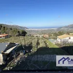 Rent 1 bedroom apartment of 60 m² in Monreale