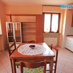 Rent 1 bedroom apartment of 30 m² in Novara