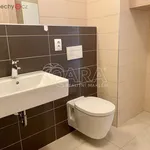 Rent 2 bedroom apartment of 83 m² in Trhový Štěpánov