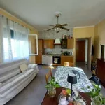 Monolocale di 55 m² a Venice