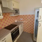 Rent 1 bedroom house of 970 m² in Chýně