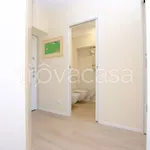 Rent 2 bedroom apartment of 50 m² in Torino