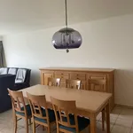 Rent 2 bedroom apartment in Geraardsbergen