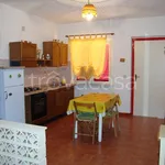 Rent 3 bedroom apartment of 50 m² in Praia a Mare