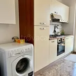 Rent 2 bedroom apartment of 50 m² in Milano