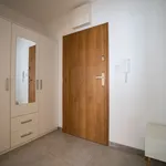 Rent 1 bedroom apartment of 30 m² in Lublin