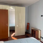 Rent 1 bedroom apartment in Milan