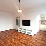 Pronajměte si 1 ložnic/e byt o rozloze 30 m² v Prague