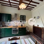 Rent 4 bedroom apartment of 100 m² in Lucca