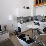 Rent 1 bedroom apartment of 29 m² in Tampere