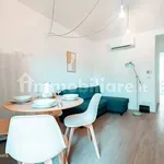 Rent 2 bedroom apartment of 55 m² in Turin