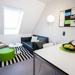 Rent 3 bedroom apartment of 35 m² in Munich