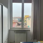 Rent 1 bedroom apartment in Milan