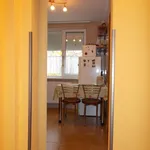 Rent 2 bedroom apartment in Lovnic