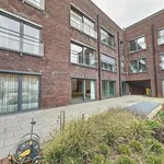 Huur 1 slaapkamer appartement in Mol