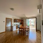 Rent 4 bedroom apartment of 90 m² in Padova