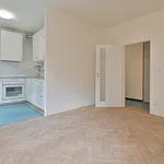 Rent 3 bedroom apartment in Brno