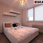 Rent 2 bedroom apartment of 35 m² in Brno