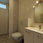 Rent 1 bedroom apartment of 25 m² in Bourg-lès-Valence