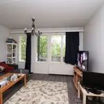 Rent 3 bedroom apartment of 75 m² in Jyväskylä