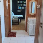 Rent 2 bedroom apartment of 50 m² in Krakow