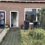 Huur 4 slaapkamer appartement van 80 m² in sommelsdijk