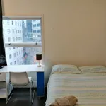 Rent 2 bedroom apartment in Auckland