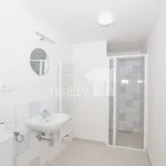 Rent 1 bedroom apartment of 33 m² in Liberec