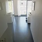 Rent 1 bedroom apartment in Ghent