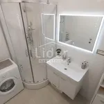 Rent 2 bedroom apartment of 40 m² in Grad Rijeka